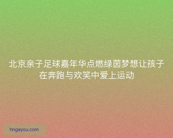 北京亲子足球嘉年华点燃绿茵梦想让孩子在奔跑与欢笑中爱上运动